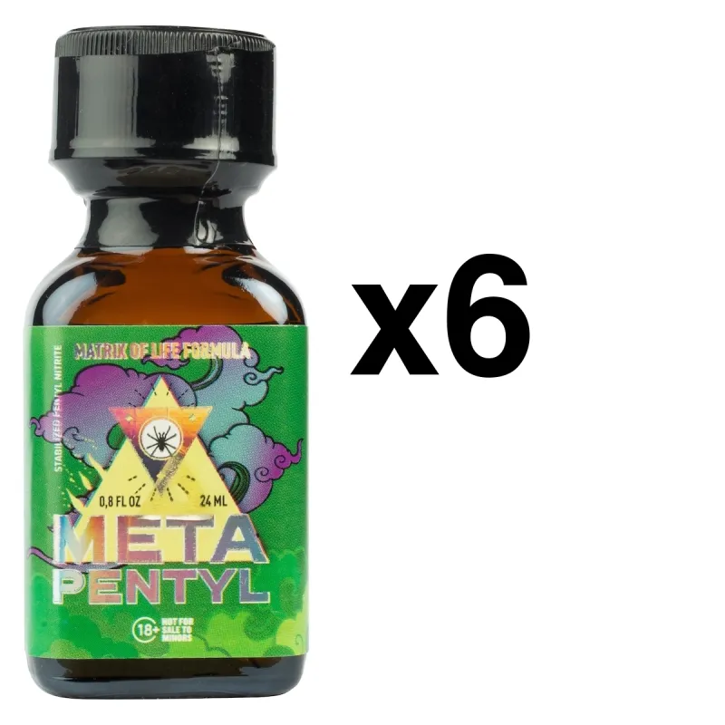 BGP Leather Cleaner META PENTYL 24ml x6